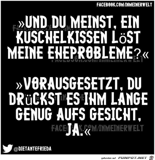 Ein Kuschelkissen Ein Kuschelkissen