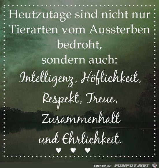 Heutzutage sind nicht nur Tierarten vorm Aussterben bedroht. Heutzutage sind nicht nur Tierarten vorm Aussterben bedroht.