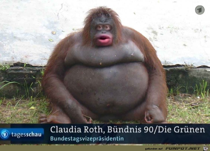 Wie nett Wie nett