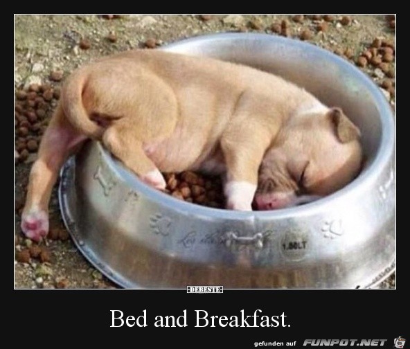 Bed and Breakfast