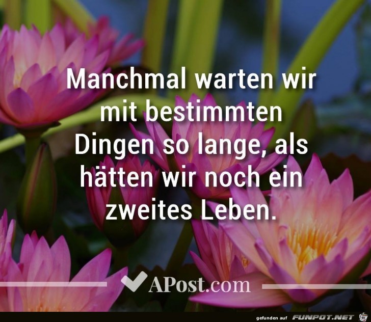 Manchmal warten wir Manchmal warten wir