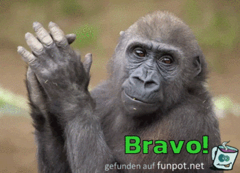 bravo bravo