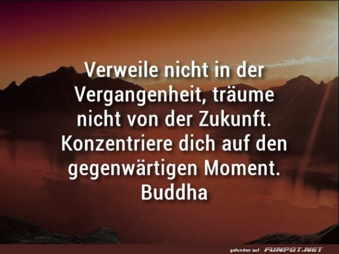 10 sch�ne Spr�che und Lebensweisheiten aus...