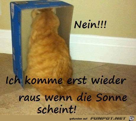 Wenn die Sonne scheint Wenn die Sonne scheint