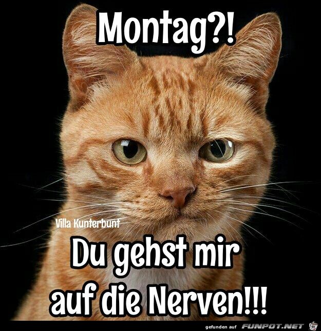 Montag 