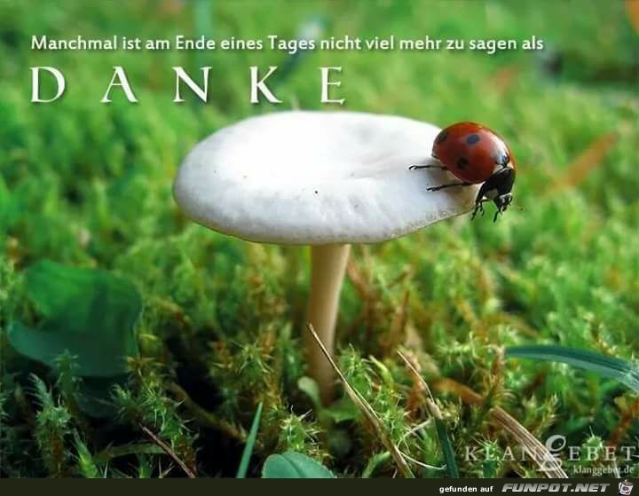 Danke