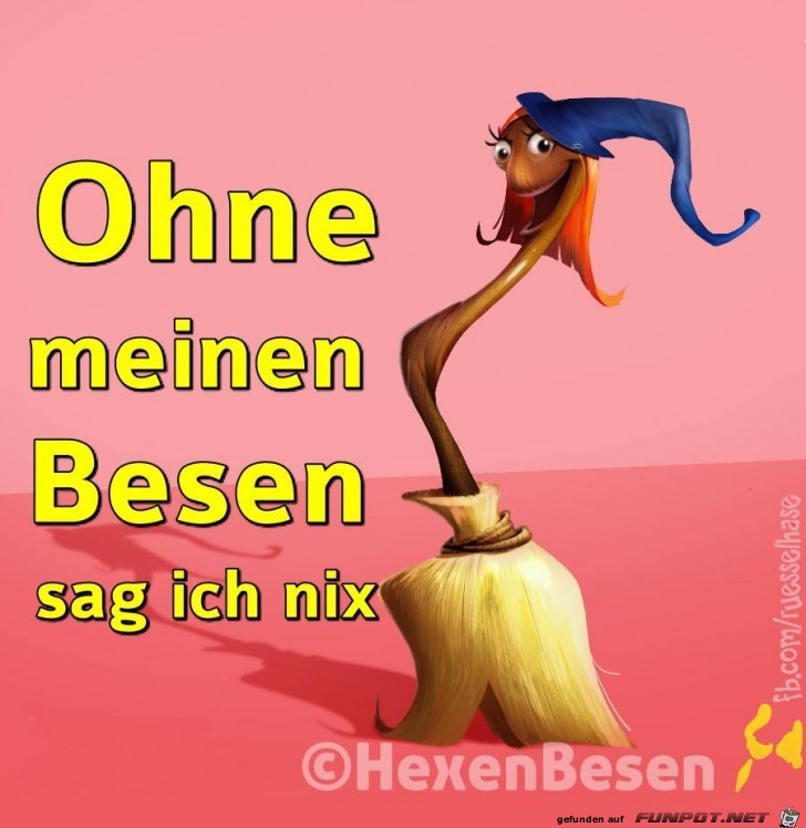 Ohne meinen Besen