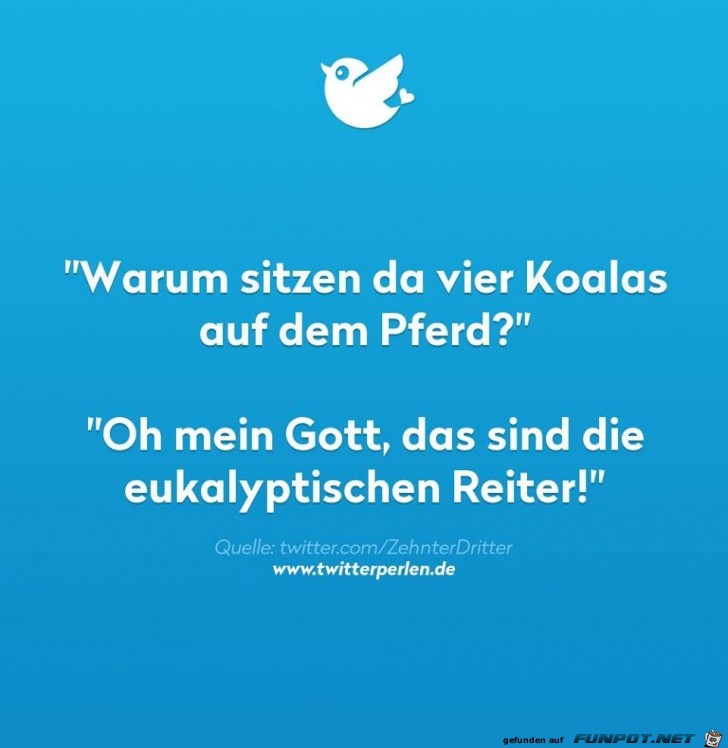 Reiter Reiter