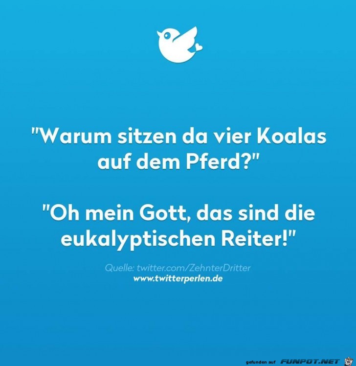 Reiter