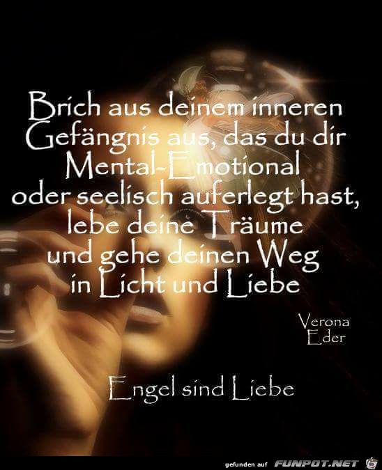 Brich aus