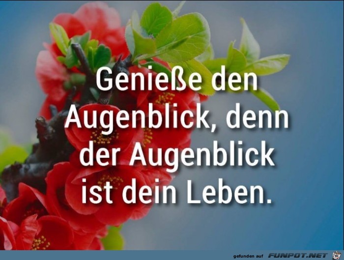 Geniesse den Augenblick