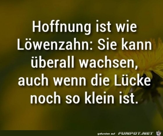 Hoffnung ist