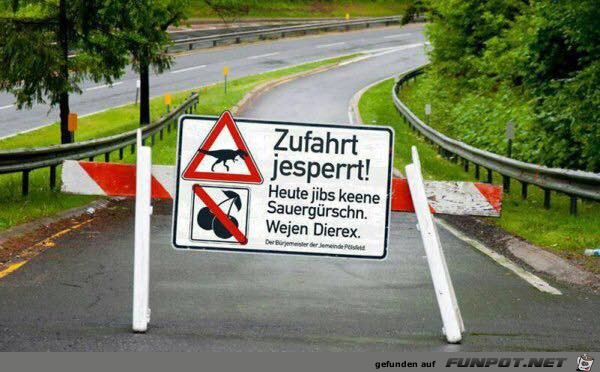Kapiert? Kapiert?