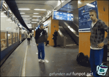 Dumm gelaufen Dumm gelaufen