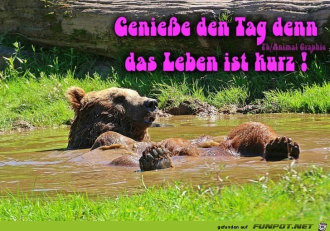 Geniesse den Tag Geniesse den Tag