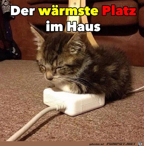 Hier ist es schön warm Hier ist es schön warm