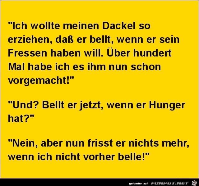 ich wollte meinen Dackel erziehen...... ich wollte meinen Dackel erziehen......