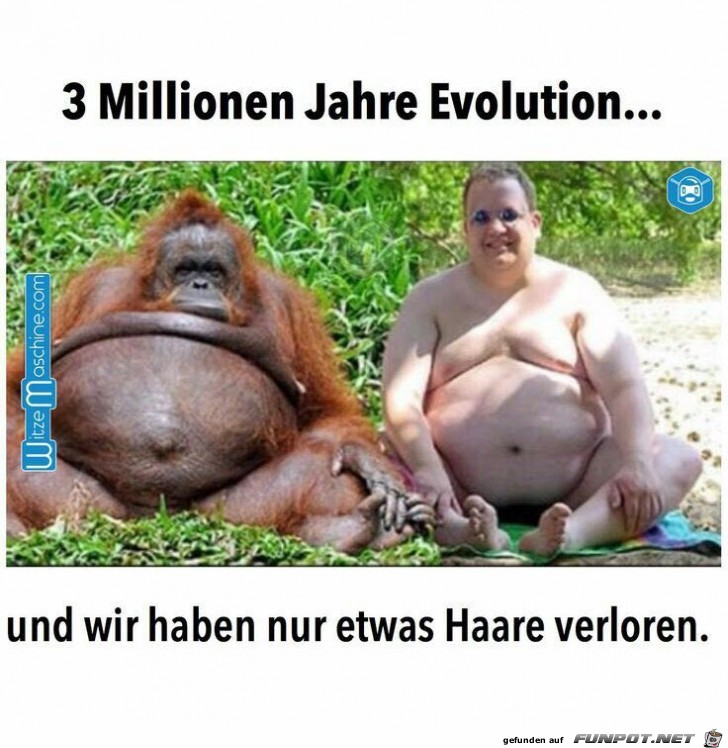 3 Millionen Jahre Evolution 3 Millionen Jahre Evolution