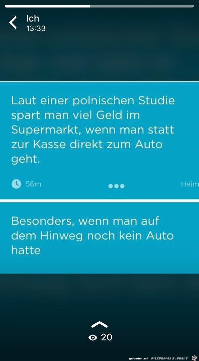 Polnische Studie Polnische Studie