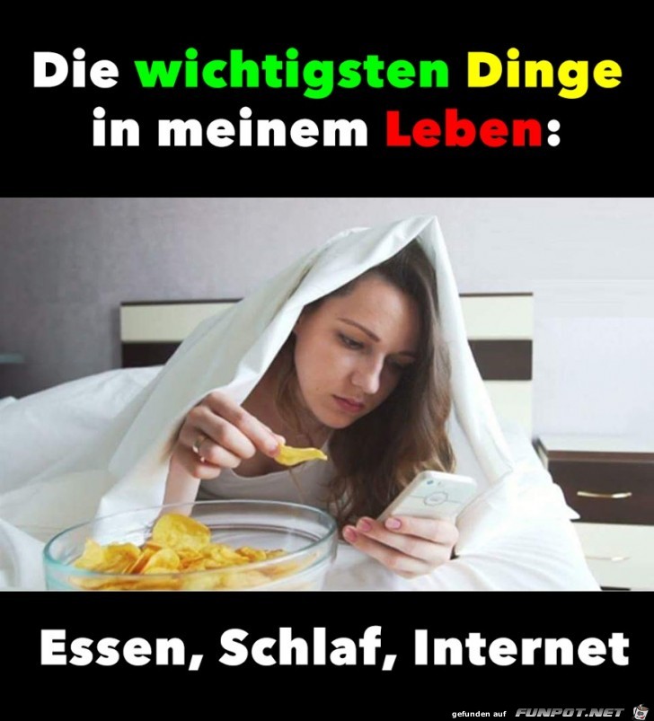 Die wichtigsten Dinge