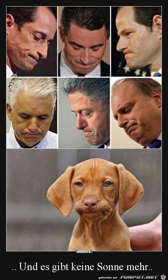 Sowas Blödes Sowas Blödes