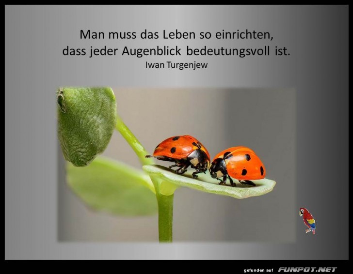 10 schne Sprche und Lebensweisheiten aus...