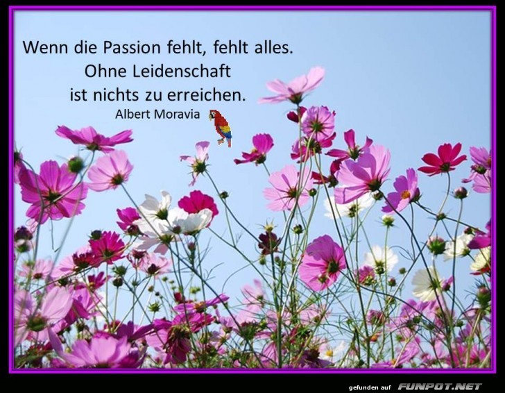 Wenn die Passion fehlt Wenn die Passion fehlt