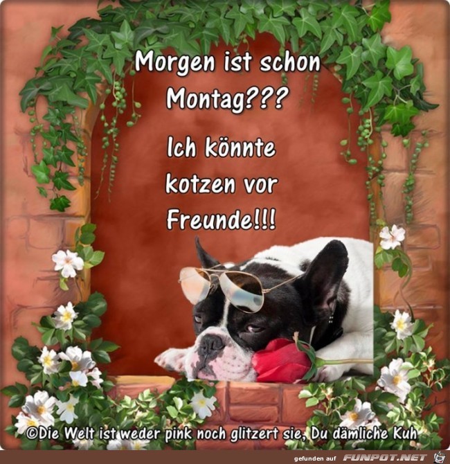 Morgen ist schon Montag Morgen ist schon Montag