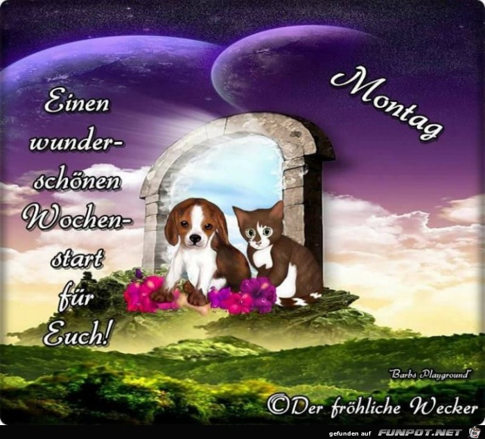 Wunderscoenen Wochenstart Wunderscoenen Wochenstart