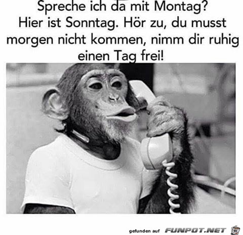 Hier ist Sonntag Hier ist Sonntag