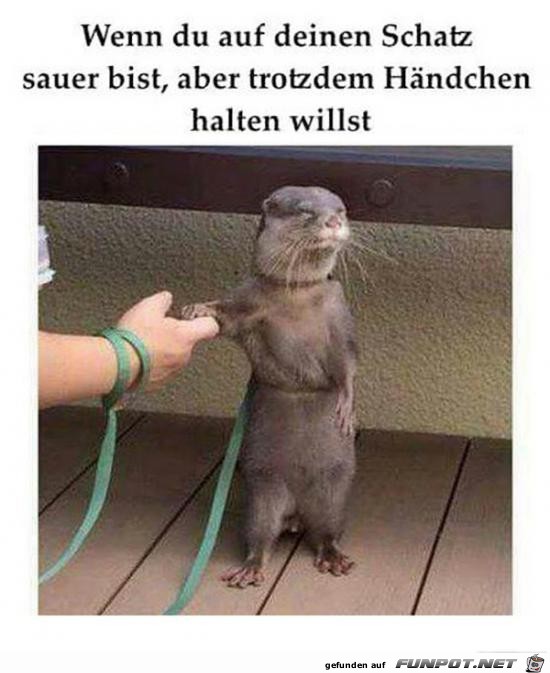 wenn du auf deinen Schatz sauer bist......