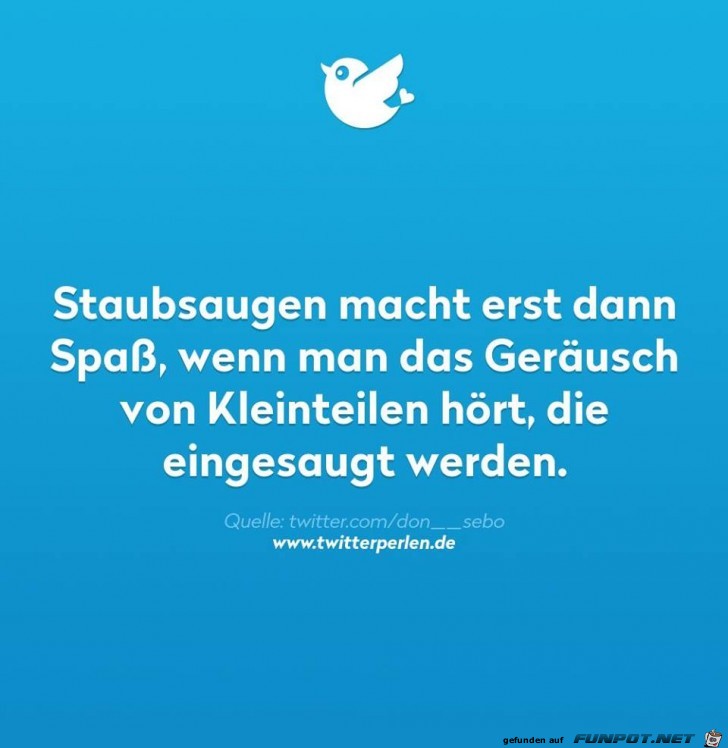 Staubsaugen macht Spass Staubsaugen macht Spass