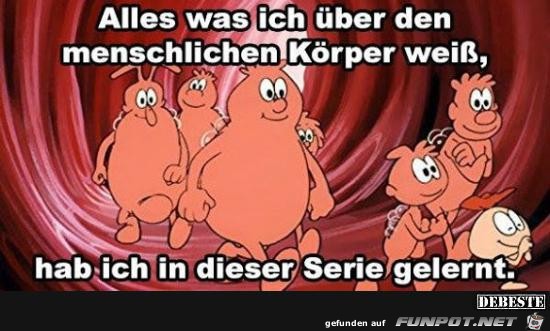 alles was ich über den menschlichen Körper weiss....... alles was ich über den menschlichen Körper weiss.......