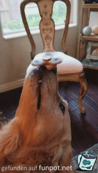 Ich bleib einfach mal so Ich bleib einfach mal so