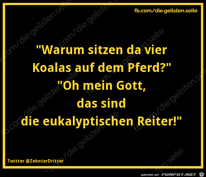 eukalyptische Reiter