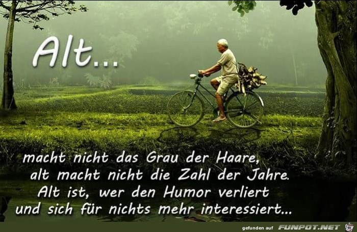 Alt Alt