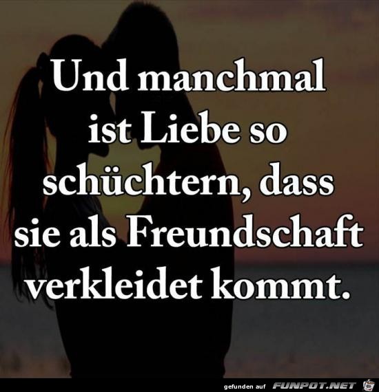 und manchmal ist Liebe so schchtern.....