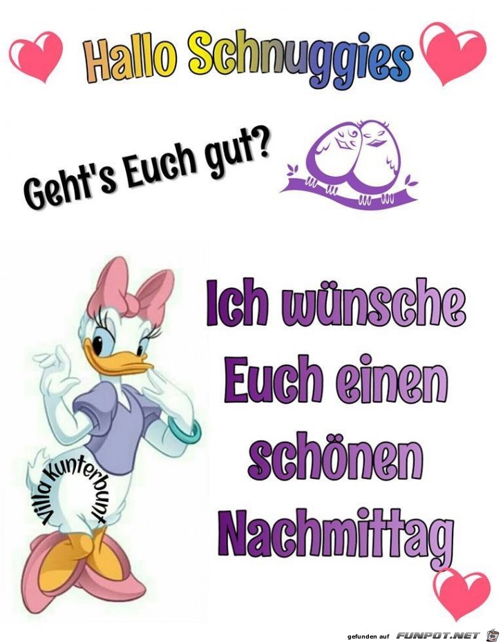 Hallo Schnuggies Hallo Schnuggies