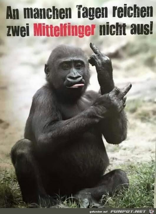 An manchen Tagen An manchen Tagen