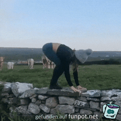 Tierische Bewunderer Tierische Bewunderer