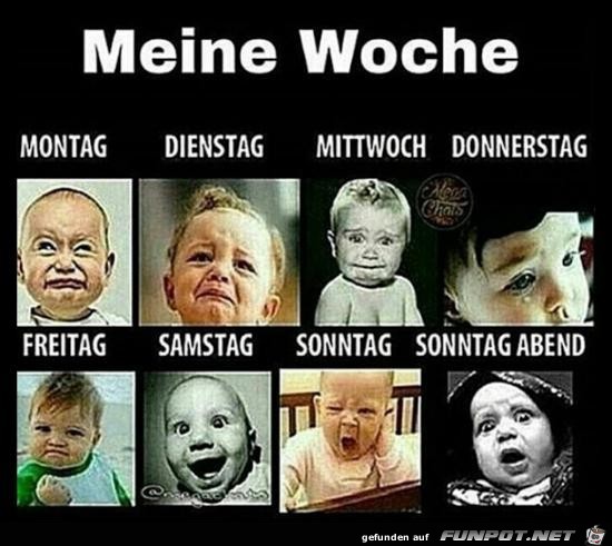 meine Woche..... meine Woche.....