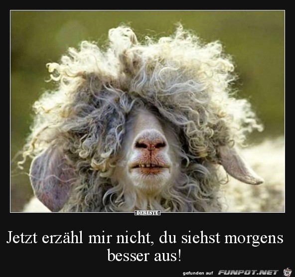 Erzähl mir nichts Erzähl mir nichts
