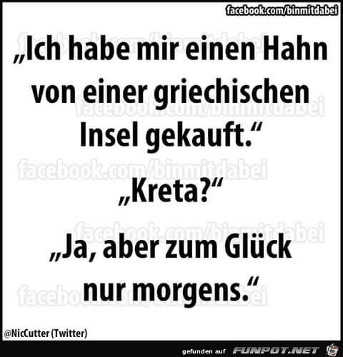 Hahn einer griechischen Insel... Hahn einer griechischen Insel...