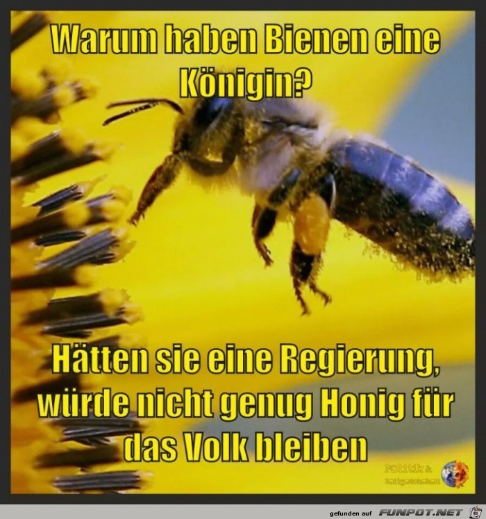 Durchaus richtig Durchaus richtig