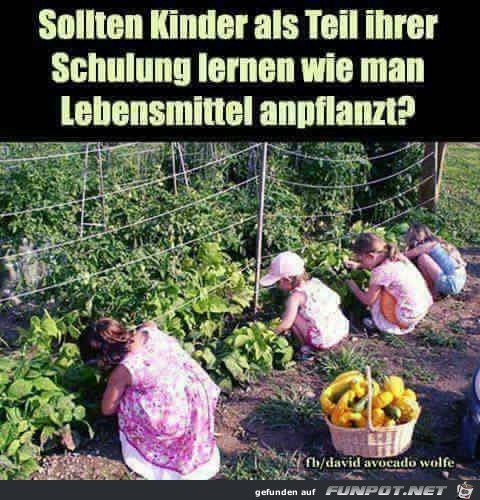 Was Kinder lernen sollten