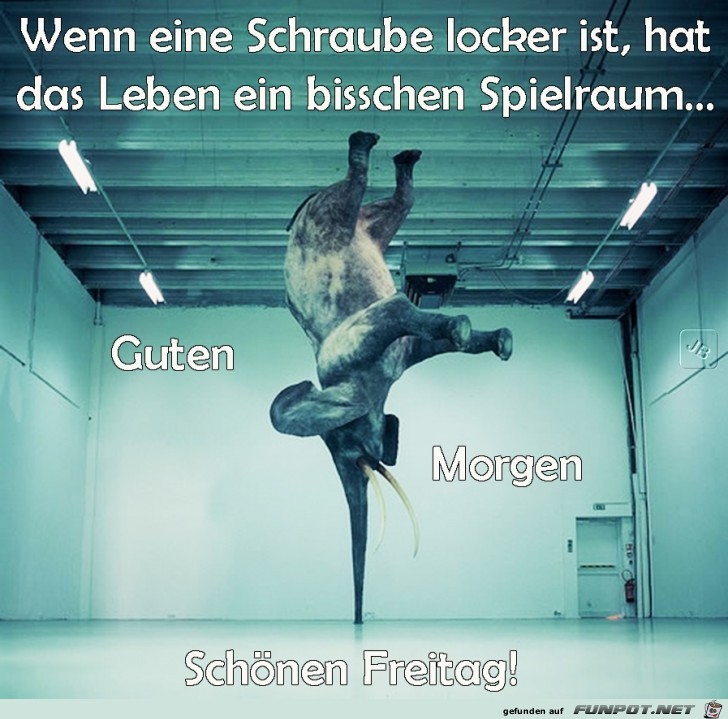 Freitag Freitag