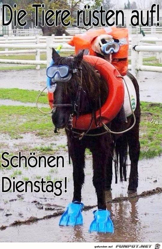Dienstag Dienstag