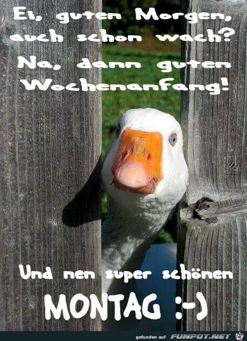 Montag Montag
