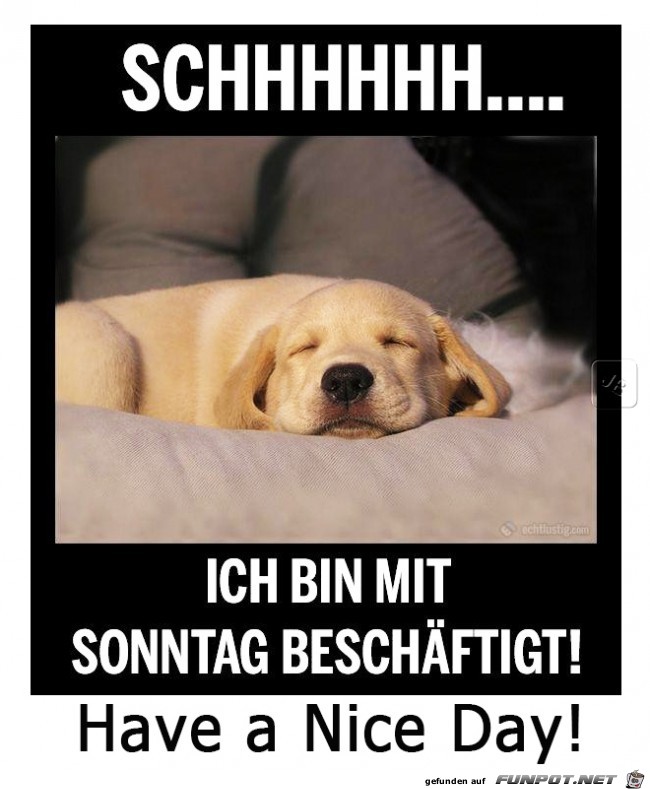Sonntag Sonntag