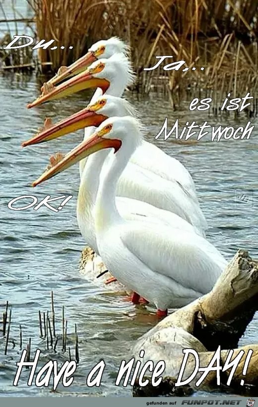 Mittwoch Mittwoch